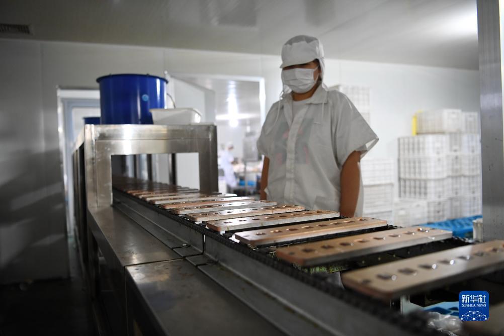 捕鱼达人3d电脑版游戏